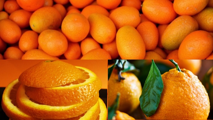 Aceite Esencial de Naranja Dulce